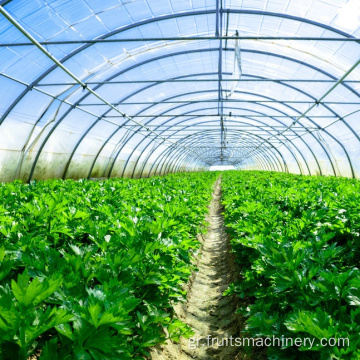 Aqua Hydroponics, Project Poly-Houses Δομή